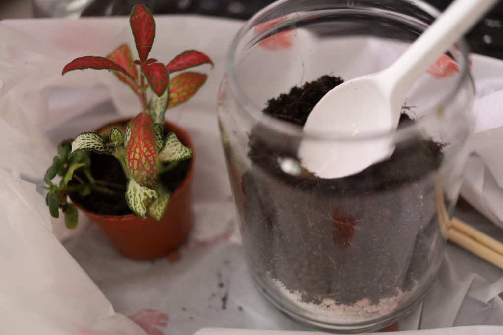 This is not dessert.