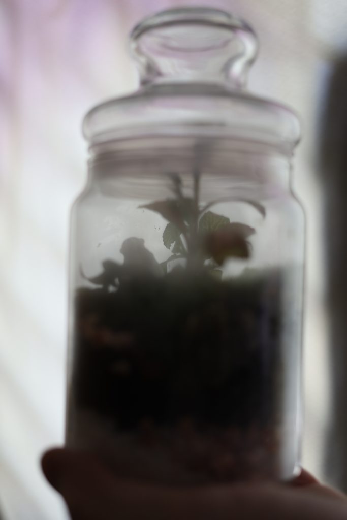 I hold the life of micro-organisms in my hand, in a jar.